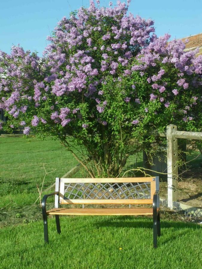 Ma Kabane Couvains (Orne) Exterior foto